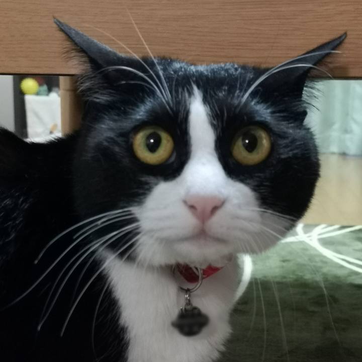 Bb4b1d5b 4dde 4218 aac9 85302f5622b2 1591191031519