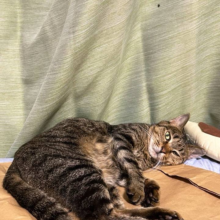 Bb4b5805 81fc 435c 8d97 10dce46f71cd 1759648646505