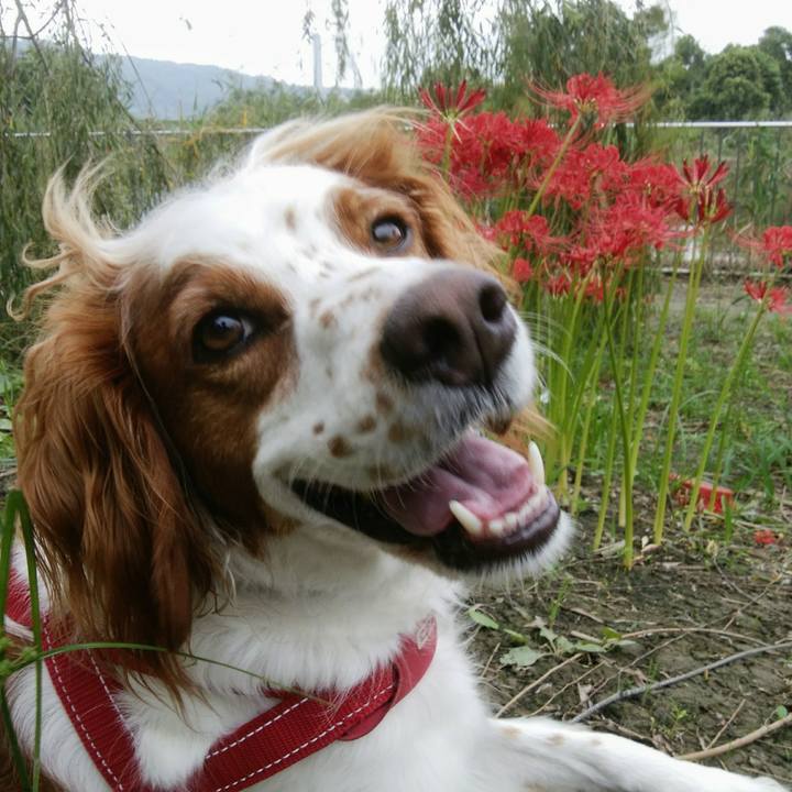 Bb4b67bf 822a 411f 8abe 44de77be310a 1537183610276