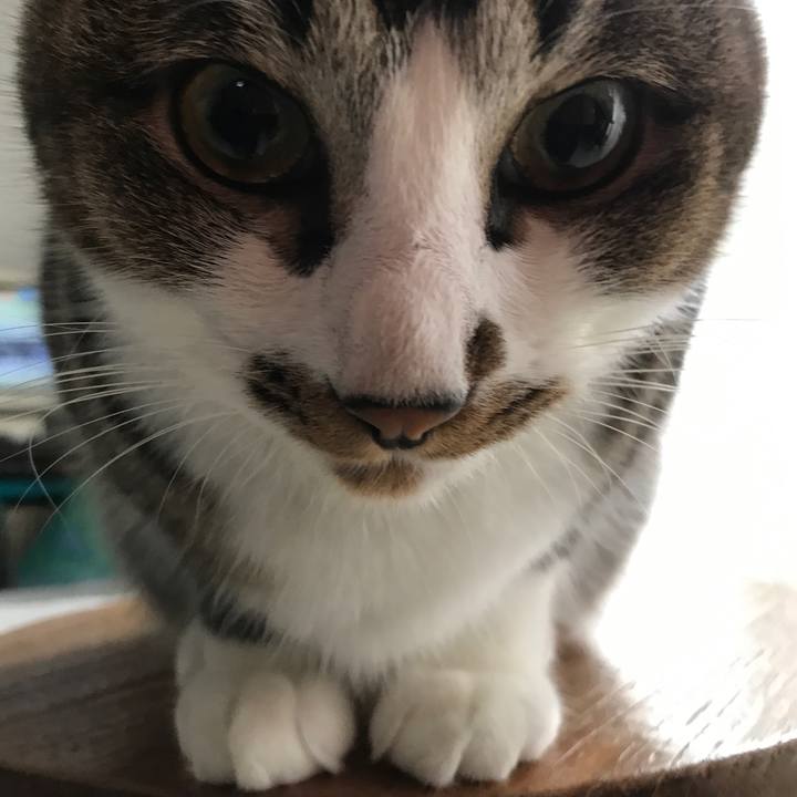 Bb4bb159 fa04 455b 8d4d 48b3e7c783a8 1509934261465