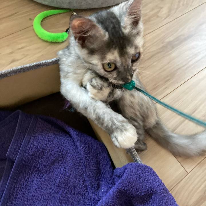 Bb4bec87 c4a2 438d 8353 83af22299806 1694329996083