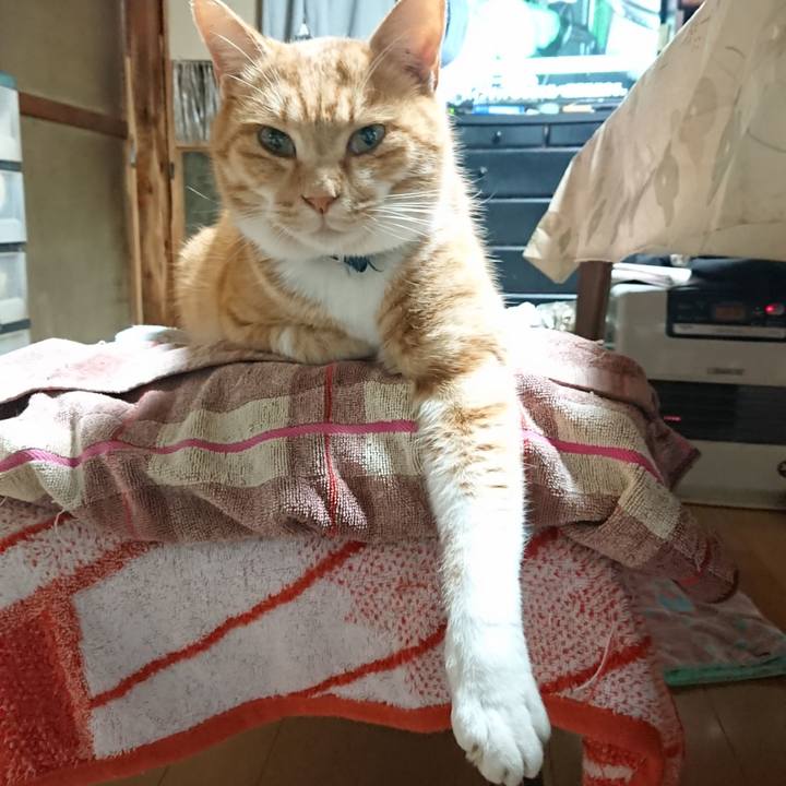 Bb4bfbb1 7d4b 42a9 938e 28fc7410d197 1607118151656