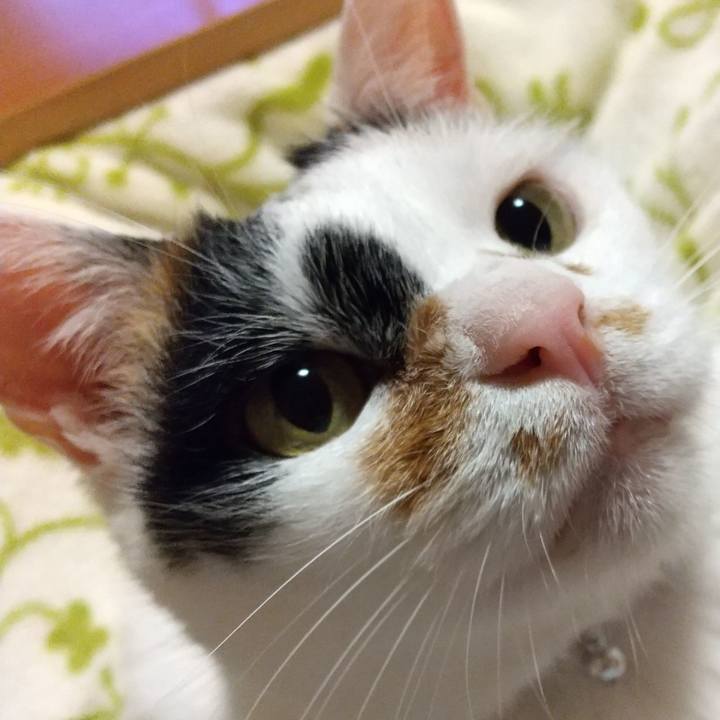 Bb4c018a a224 4493 b643 bbde76a13147 1652355078952