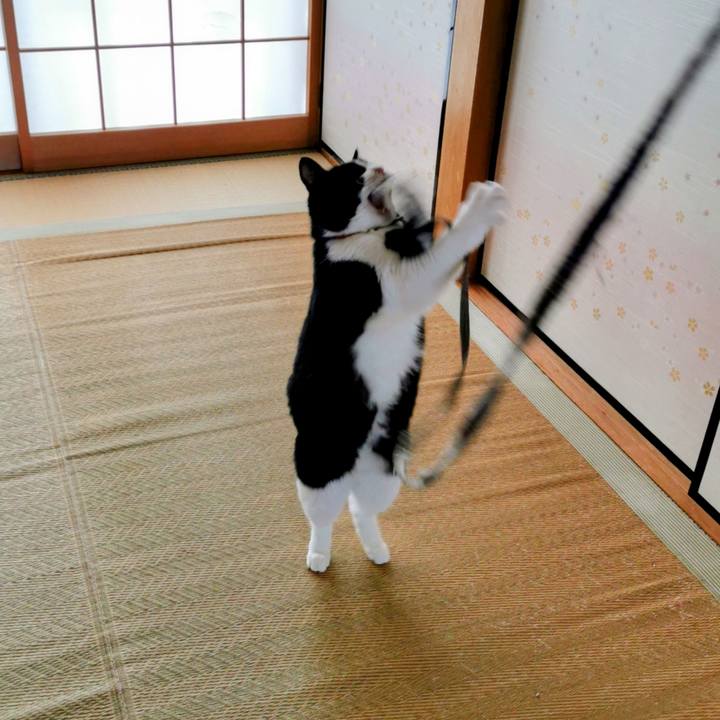 Bb4c0697 5d10 461f 95b1 061d75643b23 1644813212915