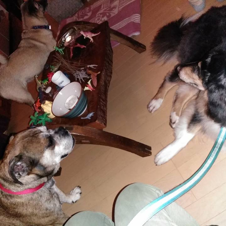 Bb4c1442 0325 4f46 9dfb 8f5a86bb3ec2 1510793858389