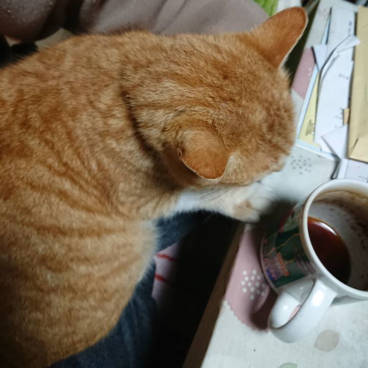 Bb4ca9e1 3b32 4e90 9306 247f4746ee38 1583960678048