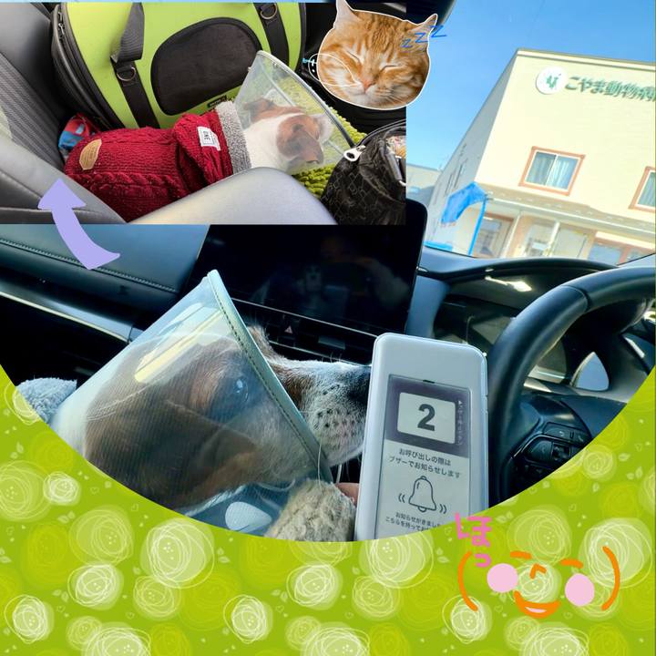 Bb4caa62 9d46 4d6c a383 0bc646333859 1767577678214