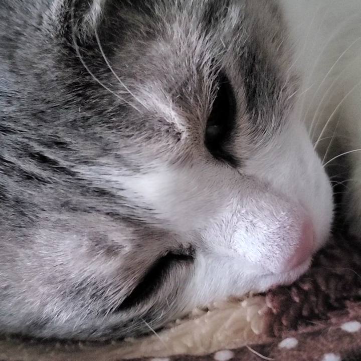 Bb4d4bec 72f2 4808 9bf1 f77343cf9fd7 1706093706842