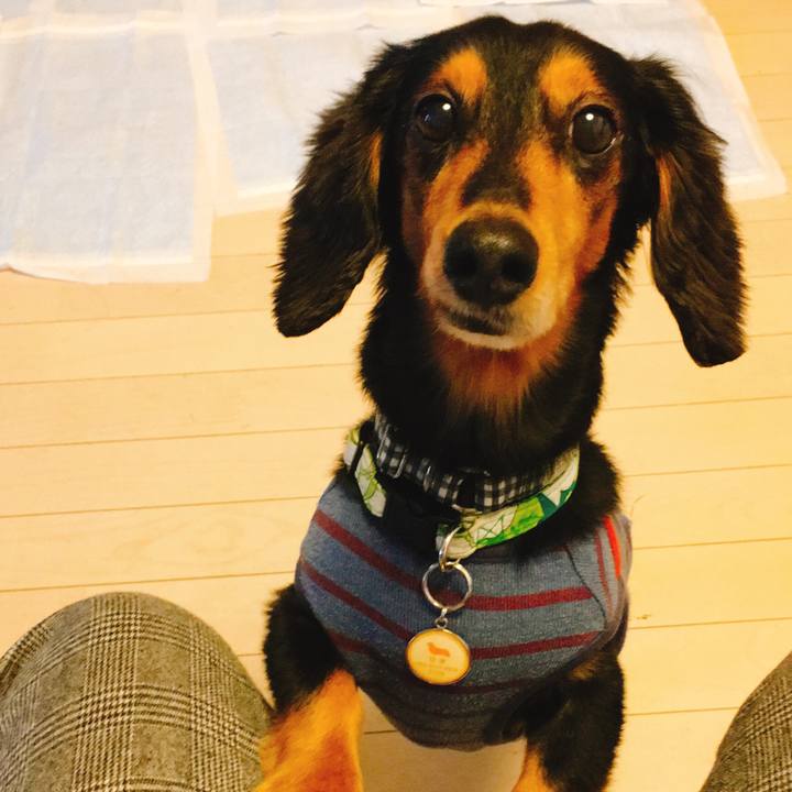 Bb4d7a91 5806 437f a1ee e889726bd99e 1510183871882