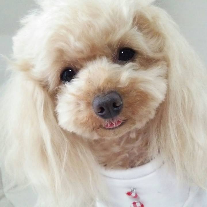 Bb4db0bd c2ef 471d ad83 023a528bdc6c 1527065220924