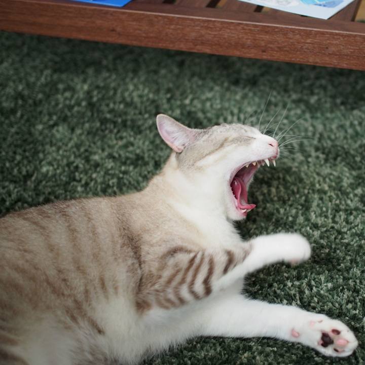 Bb4dc1da 2b0b 4430 820c f14cae51667e 1554247677329