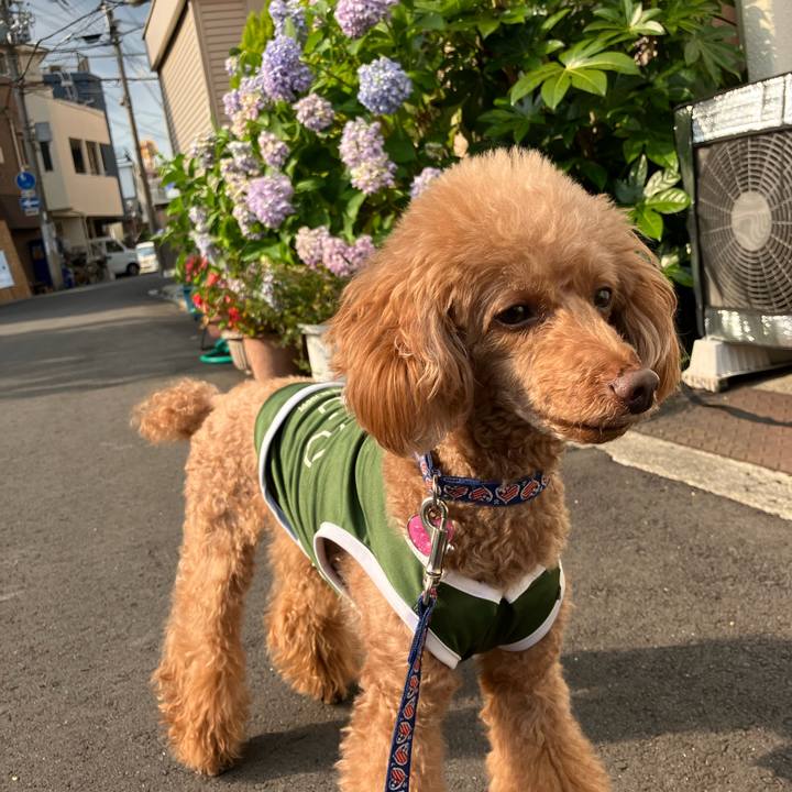 Bb4de7c5 2d63 4b85 829f d39bc9970414 1667696833402