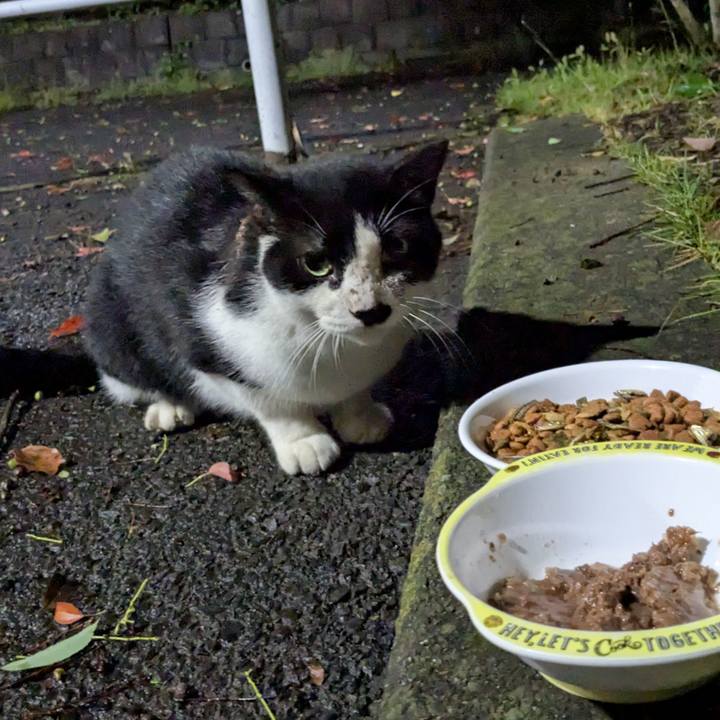 Bb4e0590 ec8a 4306 92e4 f5f2e93ef21a 1757083187521