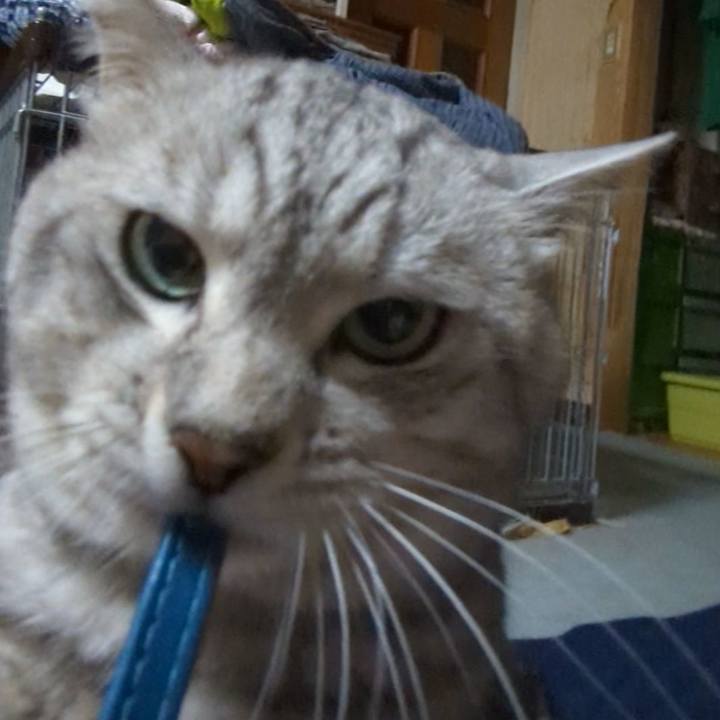 Bb4e0aea 2041 46b9 909c f7d1b90374eb 1762307717283