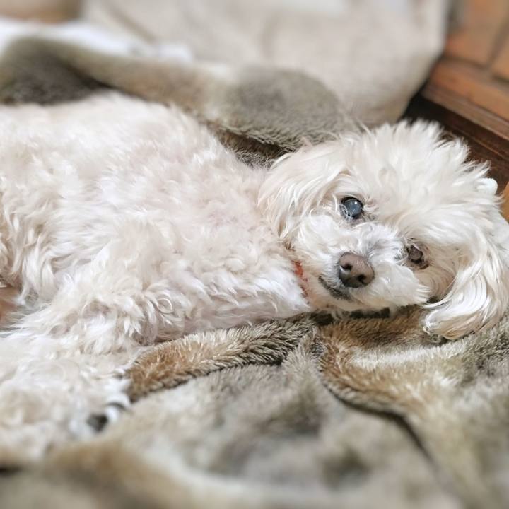 Bb4e2629 035a 4010 b244 85a46a5033fd 1713270204579