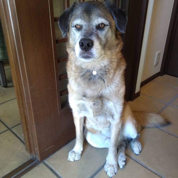 Bb4e325e 3d9c 4911 819b 2c1a33803fd7 1548997478095