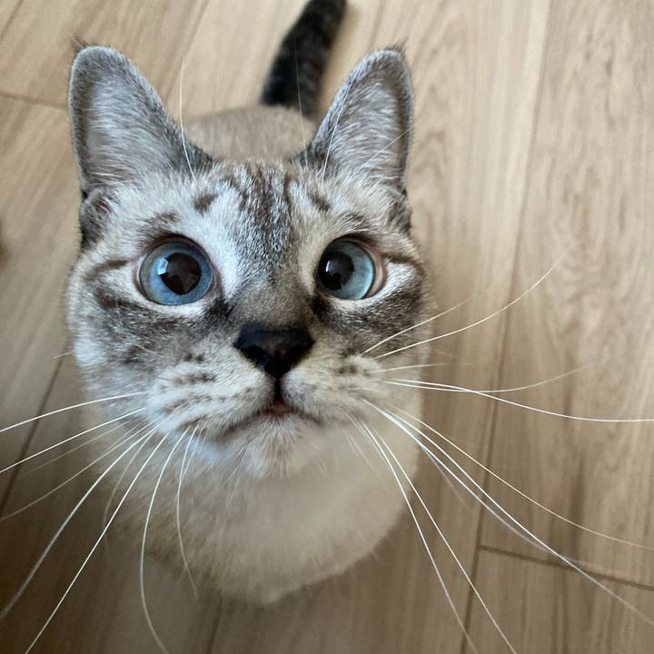 Bb4e33f3 6cef 4b65 8dba 62a125895af9 1635380828939