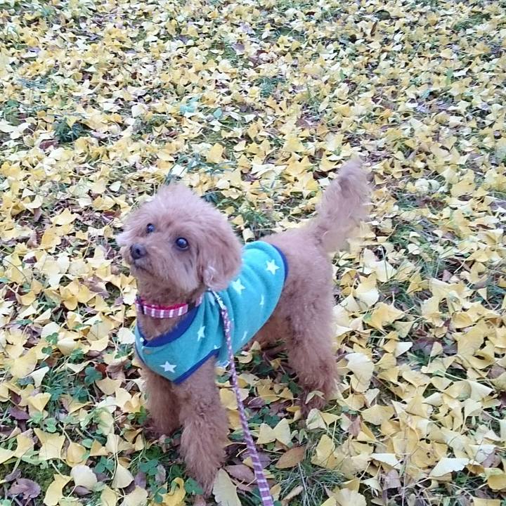 Bb4e90fe 1bd6 4033 b547 1cf4b5109cb9 1510018910730