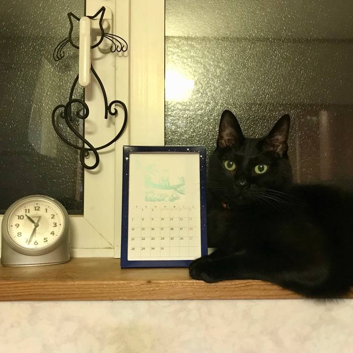 Bb4eb7b4 6577 43c0 968c c1fd8fc31e57 1526305068406