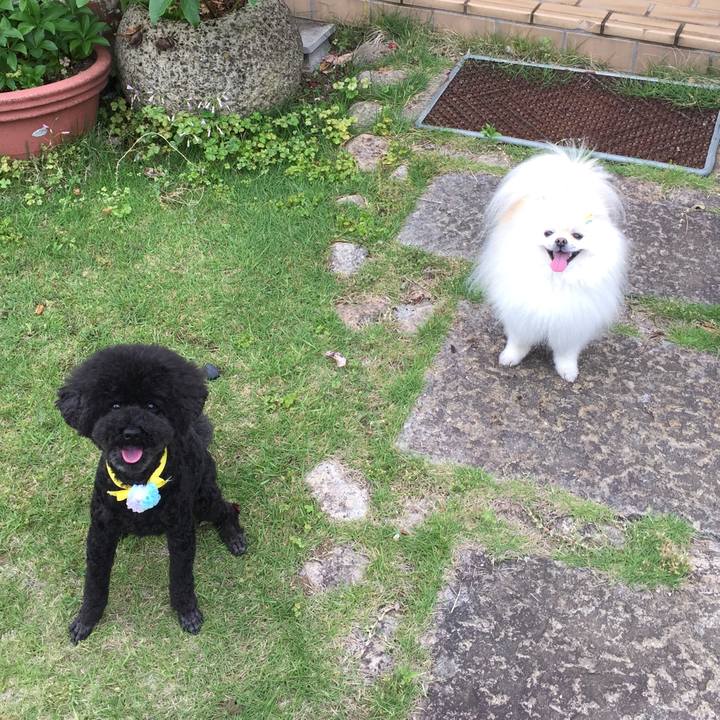 Bb4ede63 5e4c 49fa a744 c903954063f4 1590898012069