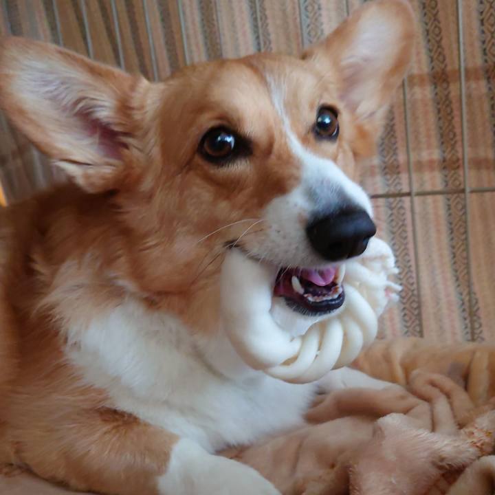 Bb4f0765 57b3 47b3 ab23 2391e5c72c4b 1773546302548