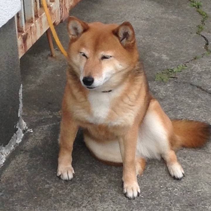 Bb4f939a 103b 402c b9b4 32d606ba4535 1520230089917