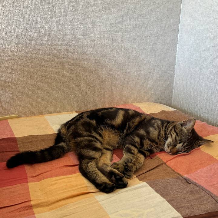 Bb4fa92d c8cc 446c 8f88 8a8eadde595d 1751762357955