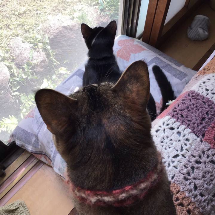 Bb4fb755 663e 4ed1 9cc0 667c5c021361 1632476594398