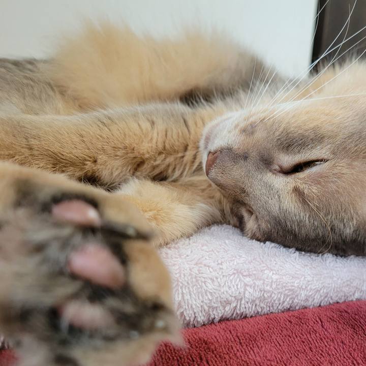 Bb4ff1a9 61db 4f43 8278 c89c74289ec2 1658562159050