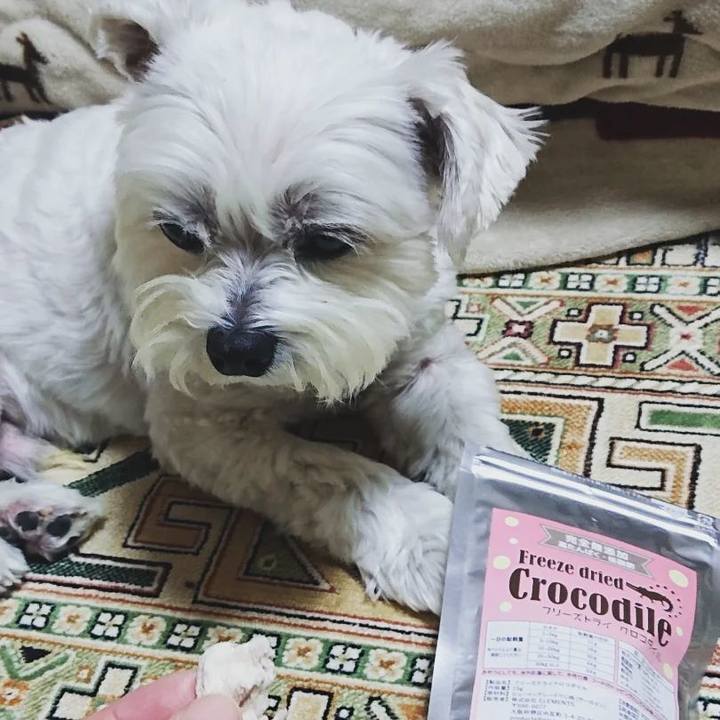 Bb5018e7 7f1b 4d03 94f6 87d7bf70d919 1667801998754