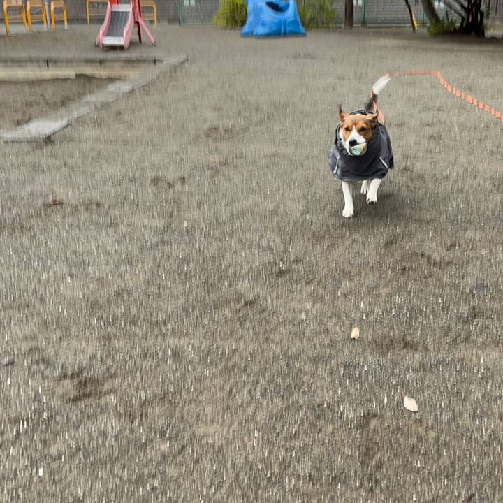 Bb501fdc bb2c 47a5 b600 51b5af5f2727 1743651669075