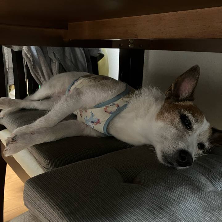 Bb5040d9 9917 46ce 9965 0600bff16370 1688080055926