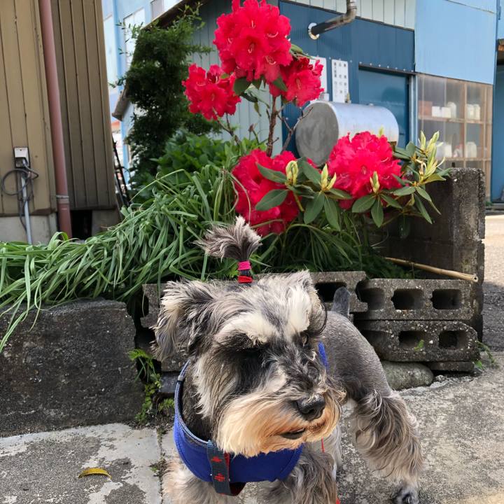 Bb50681c cb1a 43e4 84f5 0afe2510f978 1620551939586