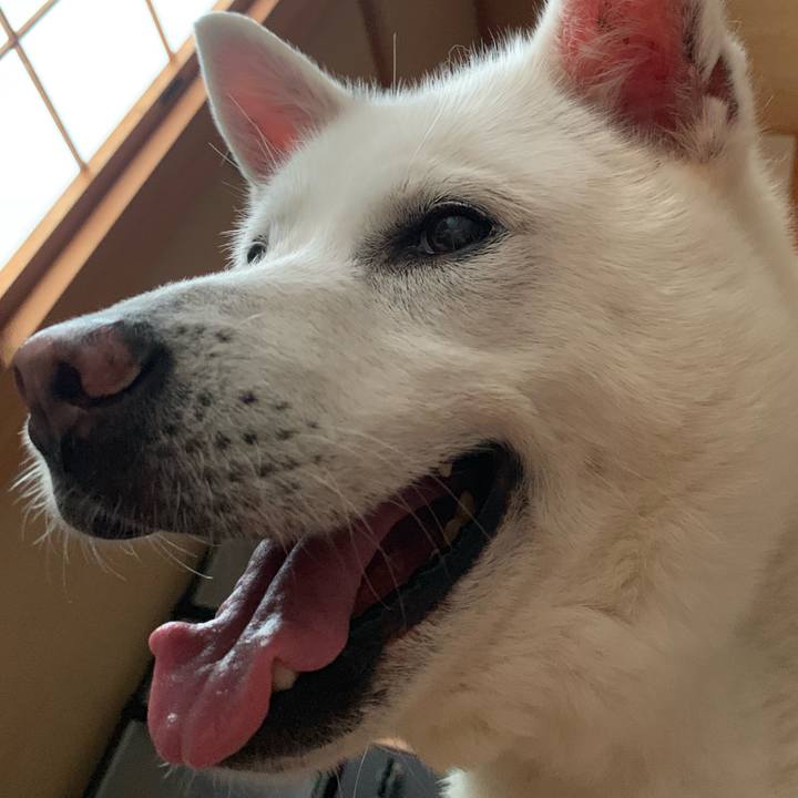 Bb5093ca 8cfd 401a b2e9 296a72e3b3b8 1563623429258