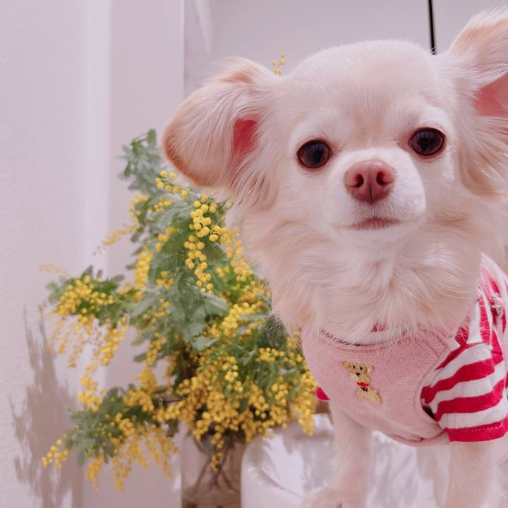 Bb50abde 6029 4516 a274 eb9d99882000 1678356212021