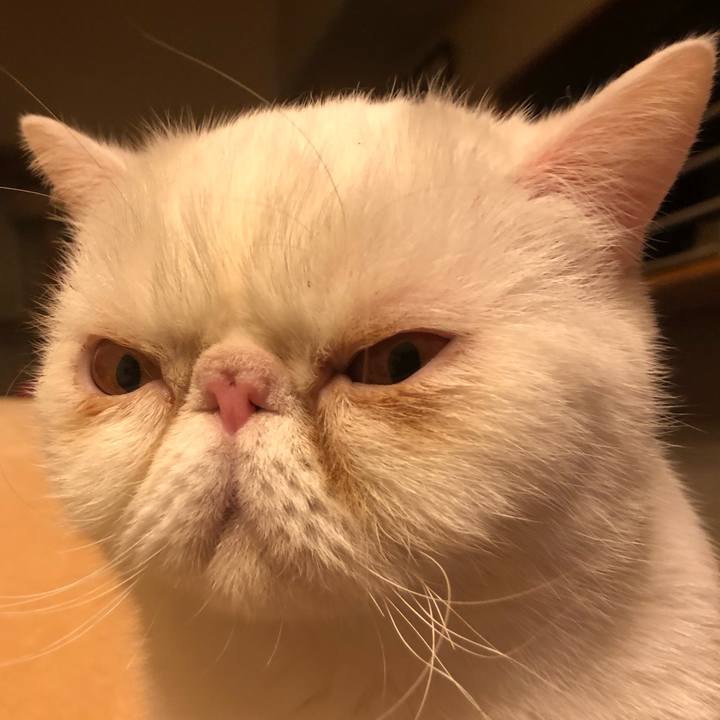 Bb50f013 82cf 4e29 8fec ef9fe9e0caff 1643370234660