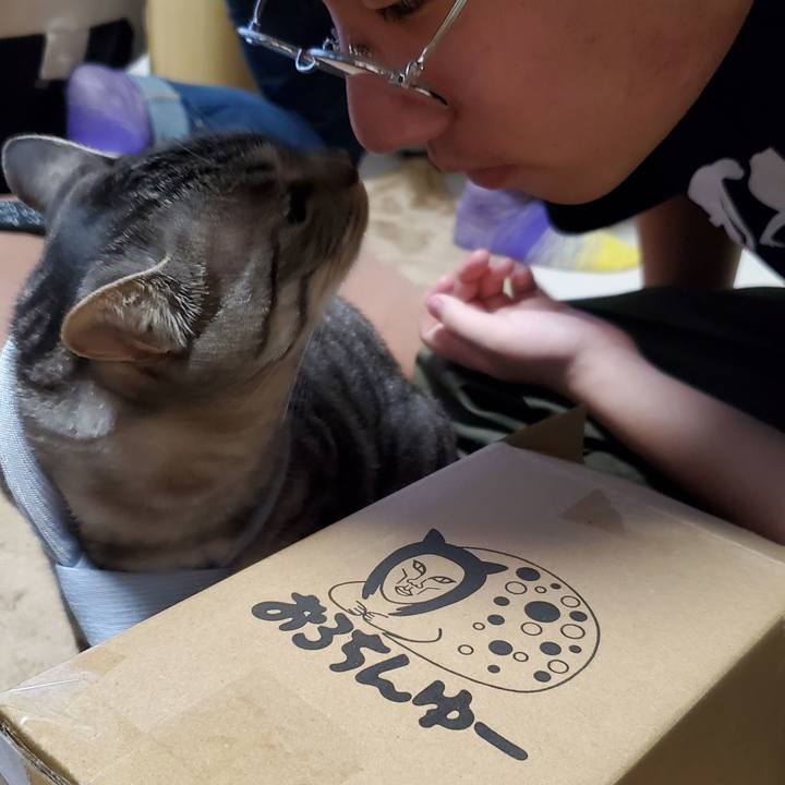 Bb50f747 584e 422f 868e 7925be67a9cc 1713232758180