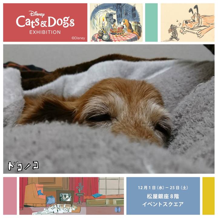 Bb5101a5 b66f 43d3 935c 3a0ae06aa96f 1638452248960