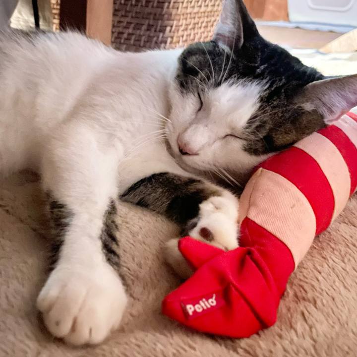 Bb510a4c 5e2d 4910 8678 3ecc316786b0 1764280674901