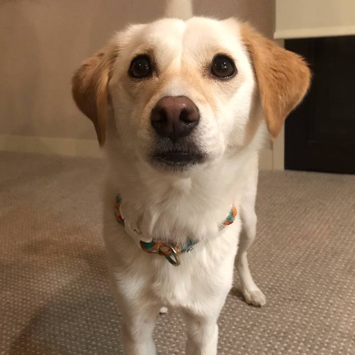 Bb514a0e 8d54 46e7 8fe4 34eaf5045c85 1609419357702