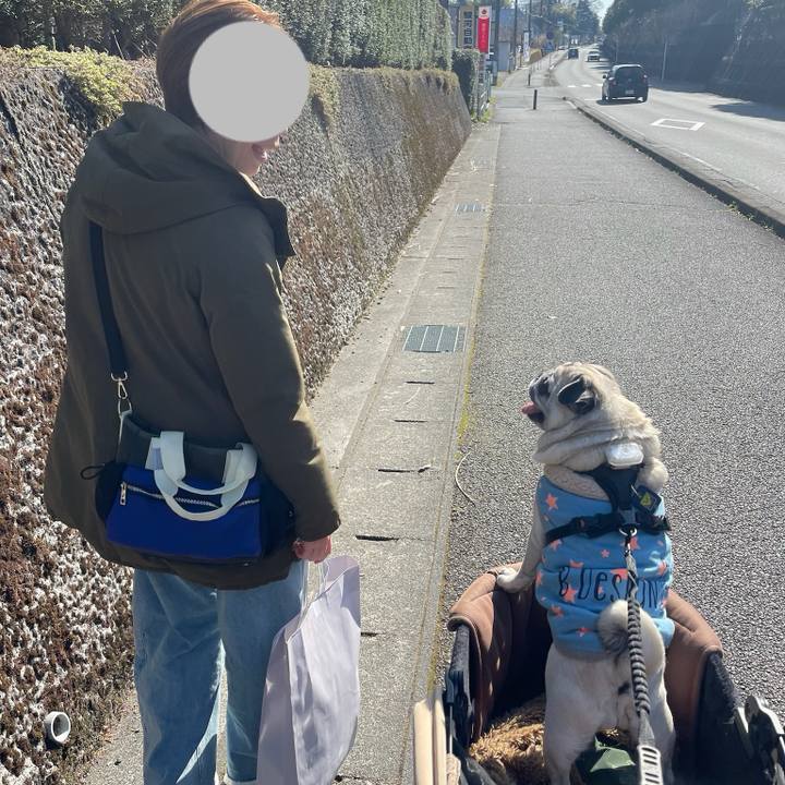 Bb51524c 967c 4cb8 9cf1 c438f95dce26 1774431750100