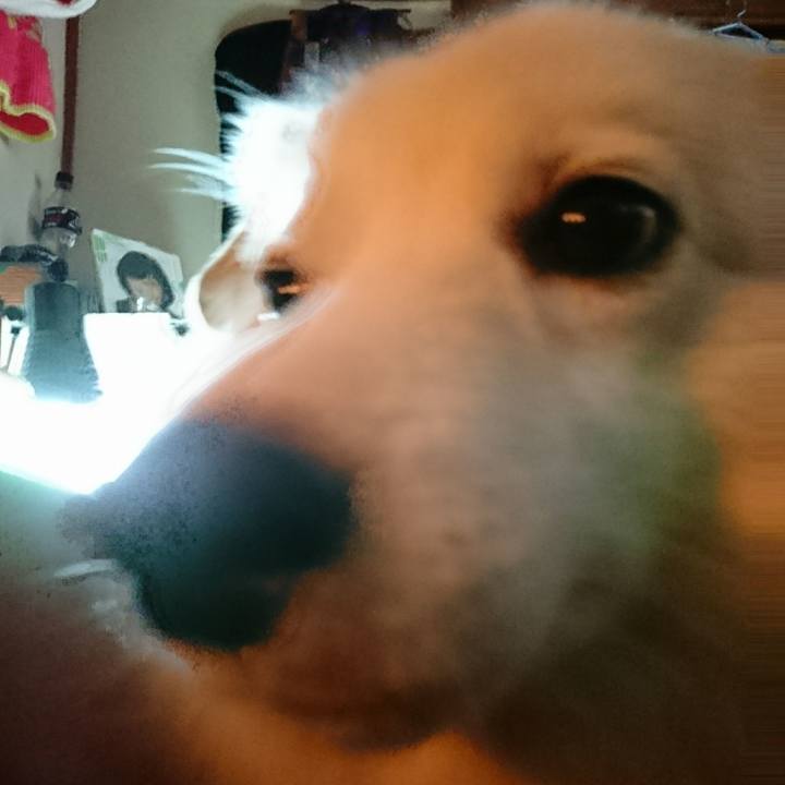 Bb515df4 4dd6 4622 9e09 78c9840ff3af 1509485442746