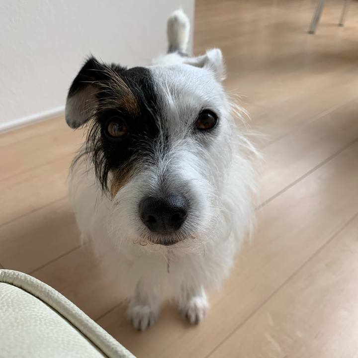 Bb518105 7a62 47ad b5d0 56c61a994614 1600060144089