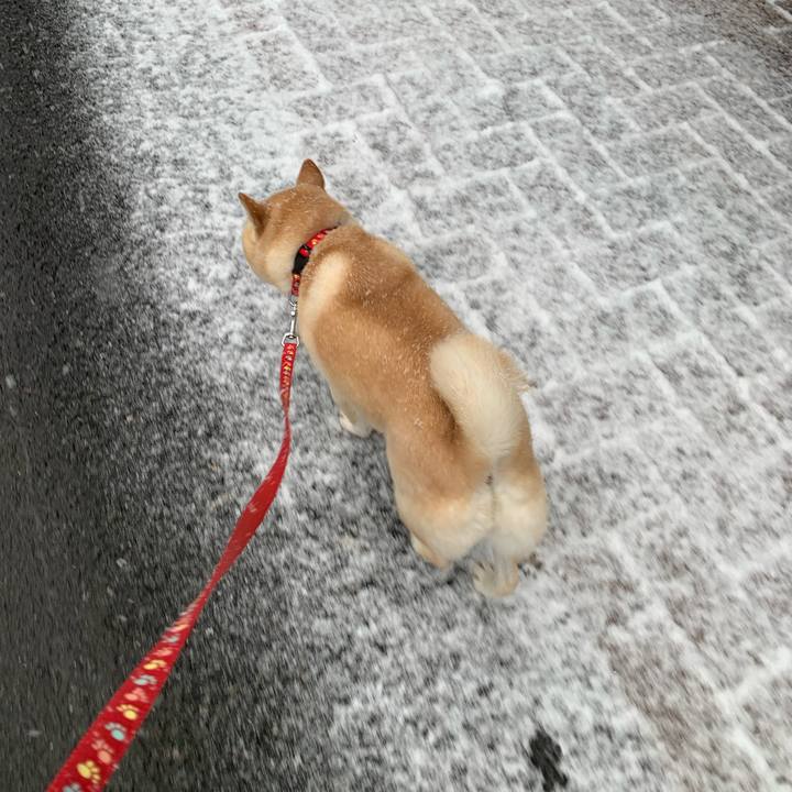 Bb51b24b 7392 496d ae62 50a6cd5f0da6 1641449411828