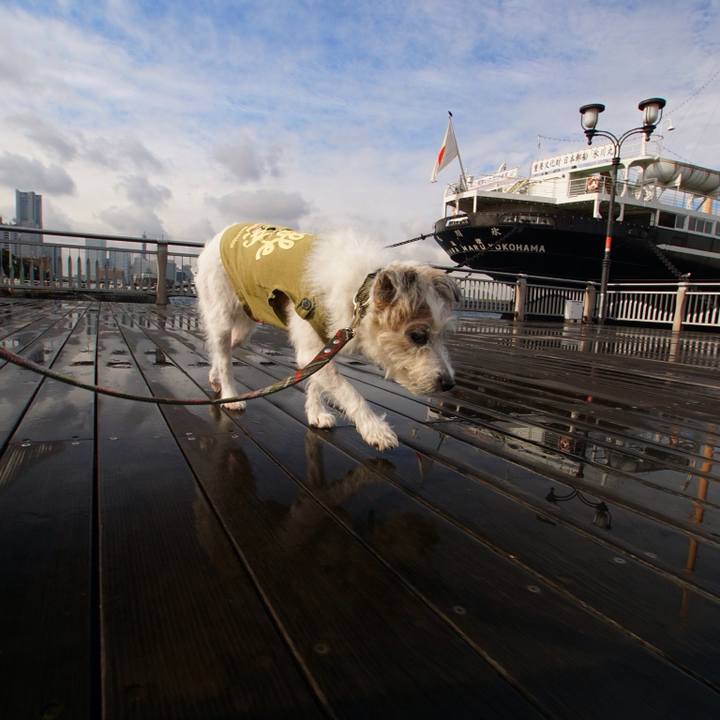 Bb51b7cc 4a28 402a b635 e51a92a7f69f 1508240032100