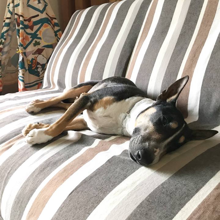 Bb51c9b7 4c5f 4615 b06a c203f8391157 1527659684812