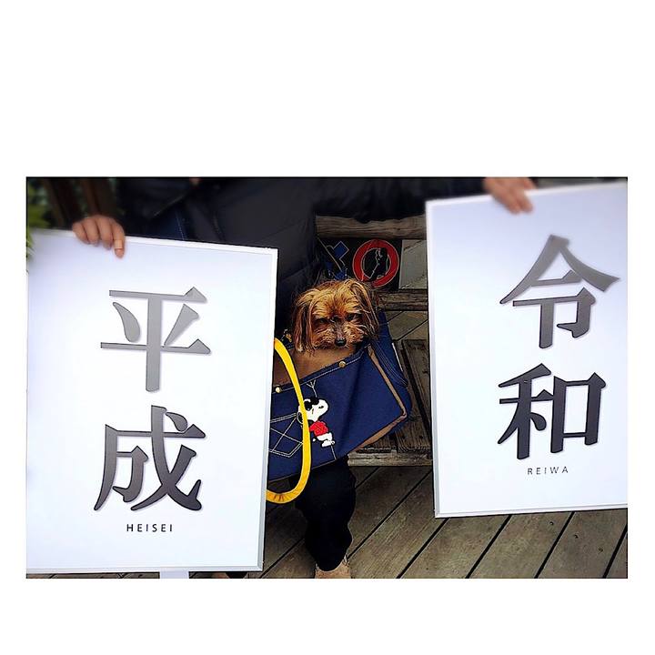 Bb524984 ef2c 4850 a29a 6c43030fda74 1556533570216