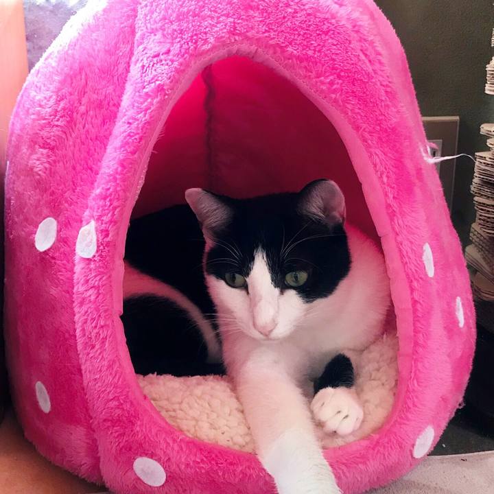 Bb5255a1 7e6e 4477 acb7 b7c312d437a9 1507942259897