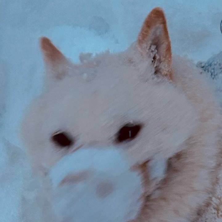 Bb528b0d aea1 496b b628 4d718f98c986 1734994013626