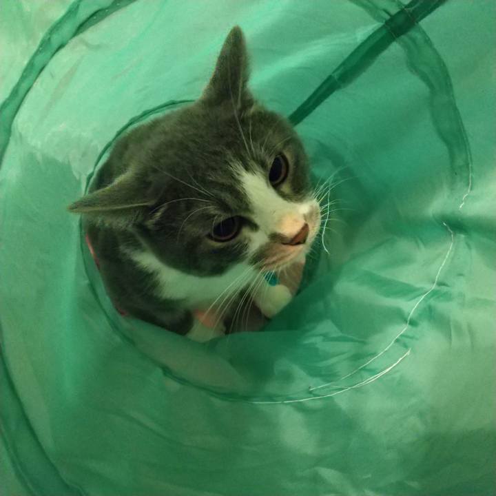 Bb52a453 20b8 42a1 808b 01c18e77dfde 1627168265843